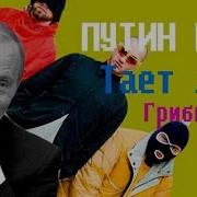 В Путин Поет Тает Лёд Грибы