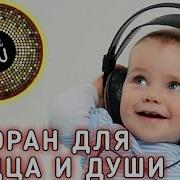 Дуа Для Успокоения Души И Сердца