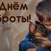 Поздравление С Днем Доброты