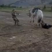 Абытыый Абытай