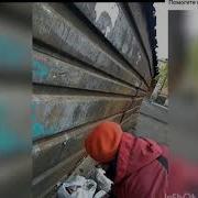 Бабка Роется В Мусорке Но Голосовала За Путина