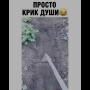 На Хера Столько Картошки Посадили Мем