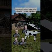 Мелстрой Мемы