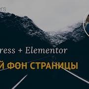 Фон На Всю Страницу В Elementor Для Wordpress