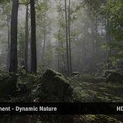 Forest Environment Dynamic Nature