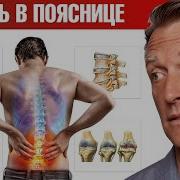 Доктор Берк Книга Лечение Позвоночника