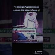 Модар Ганчи Ноёб Аст