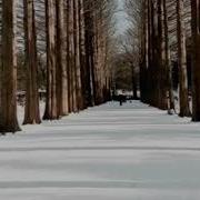 Richard Clayderman Love Song In Winter Sonata