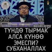 Карангыда Тырмак Алса Эмне Болот