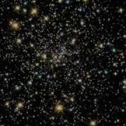 I M Your Firefly I M Your Shade