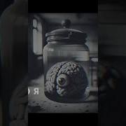 Звук Когда Ты Открываешь Свои Яйца