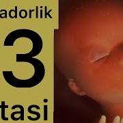 Айоллар Хааида