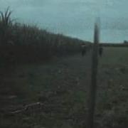 Слеза Прошибает Штык