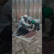 Песня Стоя На Коленях