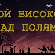 Ой Високо Над Полями