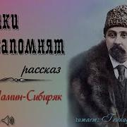 Дмитрий Саркисович Мамин Сибиряк