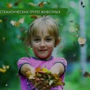 Разнообразие Организмов И Их Классификация 5 Класс