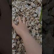 Звук Двигающегося Камня