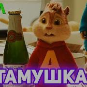 Мэвл Патамушка Поют Бурундуки