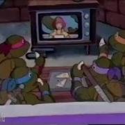 Teenage Mutant Ninja Turtles Commercial 1989