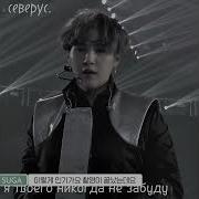 Ты Же Сказала Что Наша Любовь Цвести Не Перестанет