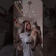 Ты Сыр Будешь Или Котлету