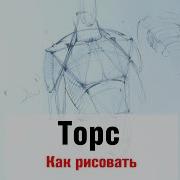 Торс