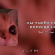 Я Люблю Тебя Очень Мне Очень Жаль Что Мы Умрём