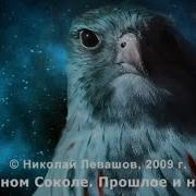 Николай Левашов Финист Ясный Сокол