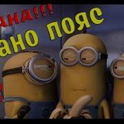 Event Банановент Пояс Обезьянки Helios Cadmus