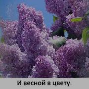 Минус Самая Красивая Родина Моя
