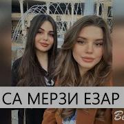 Ахъяд Мадаров Вайшиъ Дуьхьара Лаьтачу Хенахь 2019