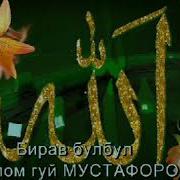 Бирав Булбул Салом Гуй Мустафоро