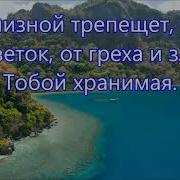 У Дороги Лилия Цвела Минус Фонограмма