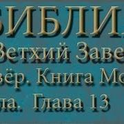 Библия Ветхий Завет Четвёртая Книга Моисея Числа Глава 13