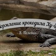 Кормление Крокодила Хуфу Пелевин