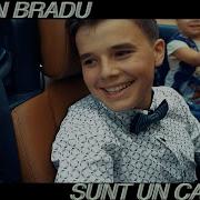 Adrian Bradu Sunt Un Calator