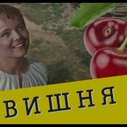 Тяни Толкай И Светлана Питерская Вишня