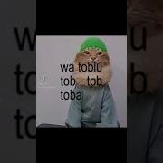 Nasheed Hafa Hafa