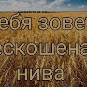 Виталий Осипов Тебя Зовет Нескошенная Нива