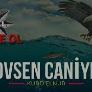 Vor Zakon Dato Cavid Ağcabədinski Fuad Ibrahimov