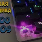 Обзор Клавиатуры Rapoo V500S