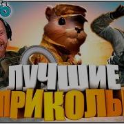 Приколы В Пубг На Пк