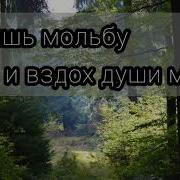 Услышь Мольбу И Вздох Души