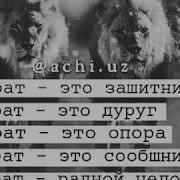 Чеченская Песня Брату От Брата