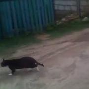 Ran Tun Tududududun Tun Tududududun Tun Tududun