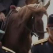 Русь Да Казачья Воля