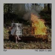 Pup Full Album