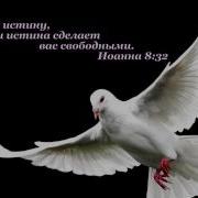 Мхо Мсц Ехб Когда На Сердце Тягостная Боль