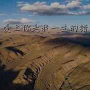 歌曲名 爱上你注定是个错 歌手名 赵洋 专辑名 爱上你注定是个错